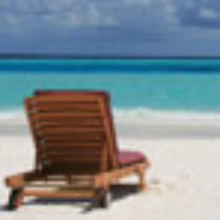 Lee Lee Thai and Chinese Food To Go